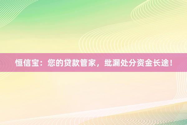 恒信宝：您的贷款管家，纰漏处分资金长途！