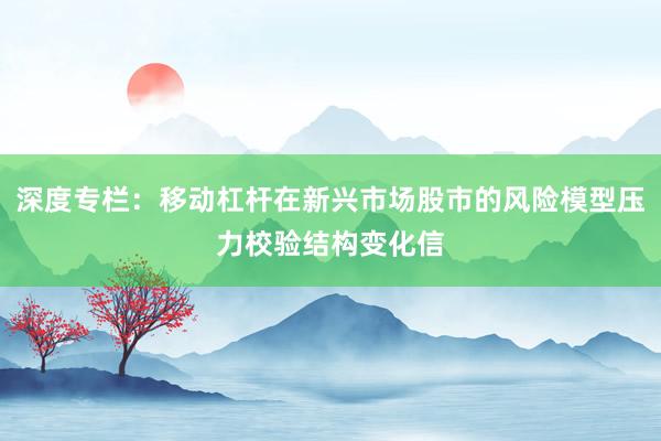 深度专栏：移动杠杆在新兴市场股市的风险模型压力校验结构变化信