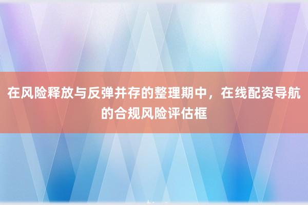 在风险释放与反弹并存的整理期中，在线配资导航的合规风险评估框